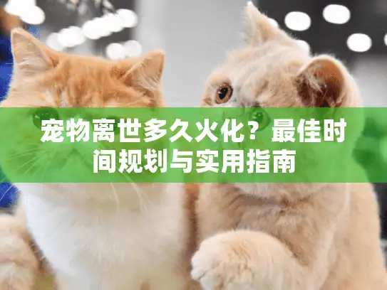 宠物离世多久火化？最佳时间规划与实用指南