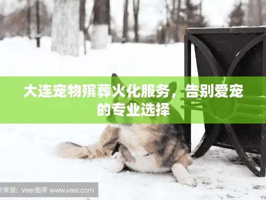 大连宠物殡葬火化服务，告别爱宠的专业选择