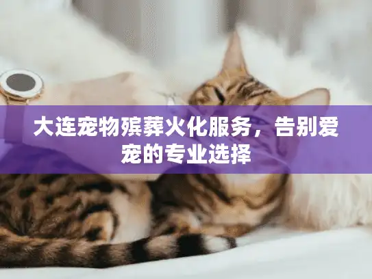 大连宠物殡葬火化服务，告别爱宠的专业选择