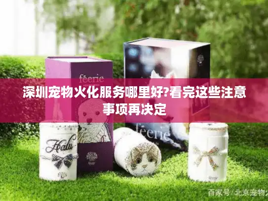 深圳宠物火化服务哪里好?看完这些注意事项再决定