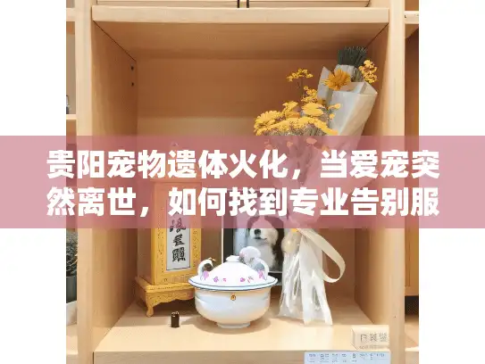 贵阳宠物遗体火化，当爱宠突然离世，如何找到专业告别服务？