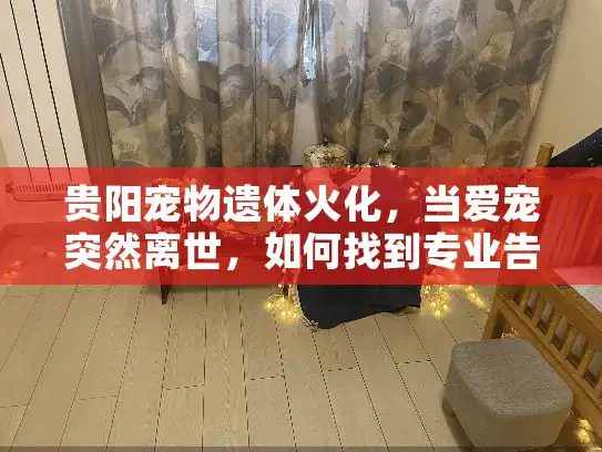 贵阳宠物遗体火化，当爱宠突然离世，如何找到专业告别服务？