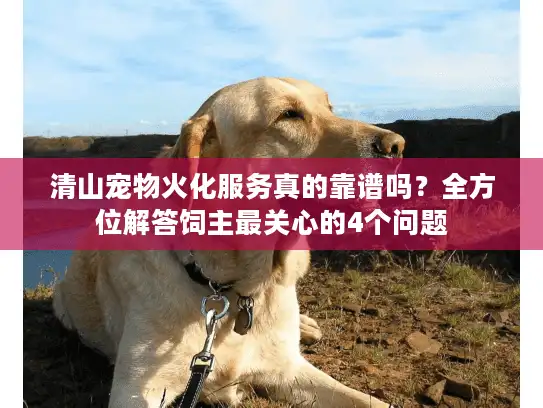 清山宠物火化服务真的靠谱吗？全方位解答饲主最关心的4个问题