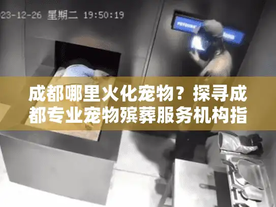 成都哪里火化宠物？探寻成都专业宠物殡葬服务机构指南