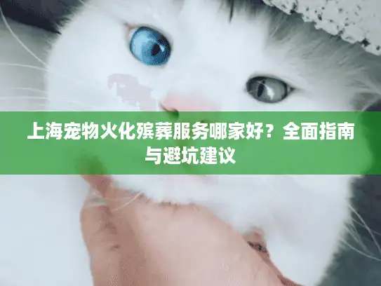 上海宠物火化殡葬服务哪家好？全面指南与避坑建议