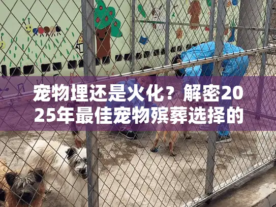 宠物埋还是火化？解密2025年最佳宠物殡葬选择的终极指南