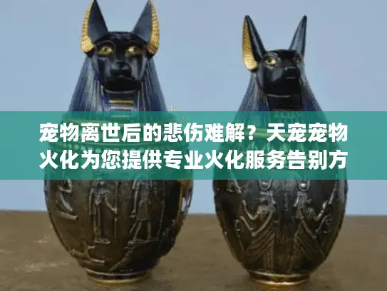 宠物离世后的悲伤难解？天宠宠物火化为您提供专业火化服务告别方案