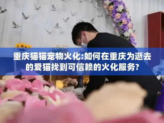 重庆猫猫宠物火化:如何在重庆为逝去的爱猫找到可信赖的火化服务?