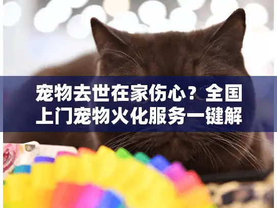 宠物去世在家伤心？全国上门宠物火化服务一键解决