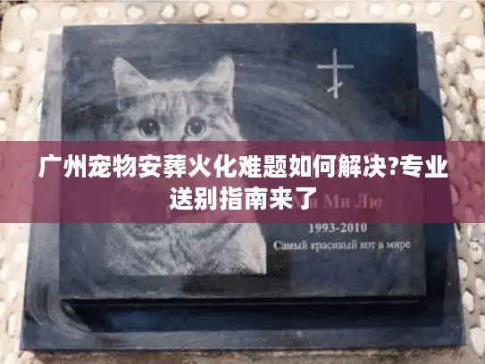 广州宠物安葬火化难题如何解决?专业送别指南来了