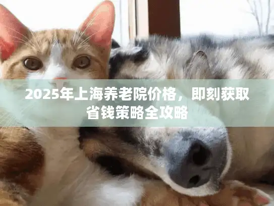 2025年上海养老院价格，即刻获取省钱策略全攻略