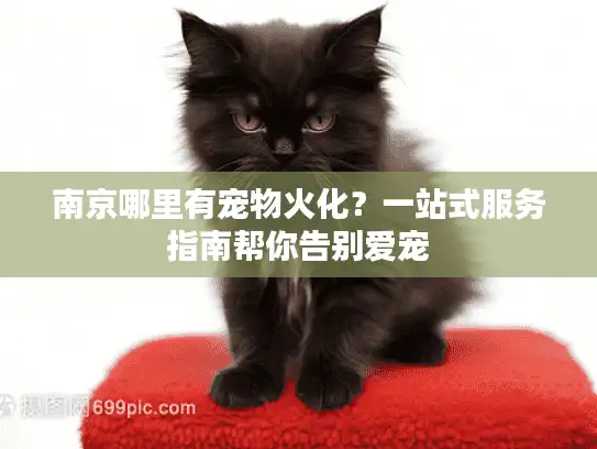 南京哪里有宠物火化？一站式服务指南帮你告别爱宠