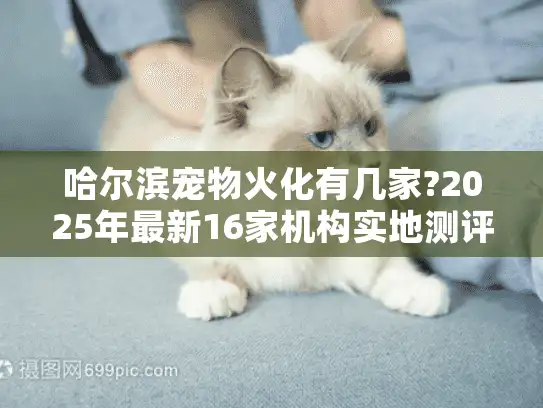 哈尔滨宠物火化有几家?2025年最新16家机构实地测评