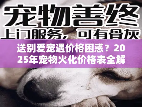 送别爱宠遇价格困惑？2025年宠物火化价格表全解（附避坑指南）