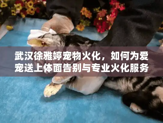 武汉徐雅婷宠物火化，如何为爱宠送上体面告别与专业火化服务?