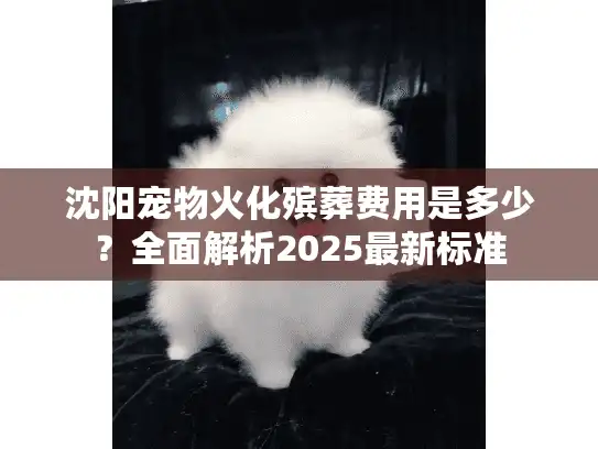 沈阳宠物火化殡葬费用是多少？全面解析2025最新标准