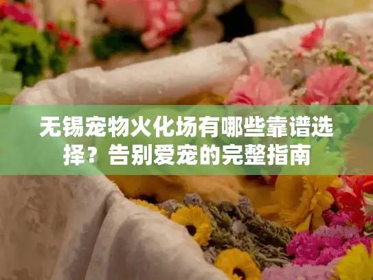 无锡宠物火化场有哪些靠谱选择？告别爱宠的完整指南