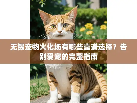 无锡宠物火化场有哪些靠谱选择？告别爱宠的完整指南