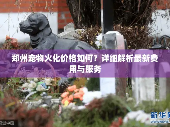 郑州宠物火化价格如何？详细解析最新费用与服务