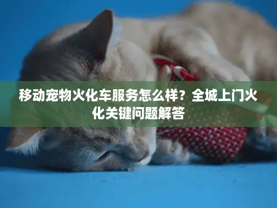 移动宠物火化车服务怎么样？全城上门火化关键问题解答