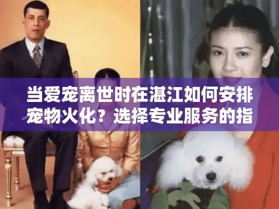 当爱宠离世时在湛江如何安排宠物火化？选择专业服务的指南