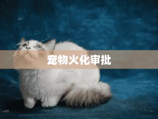 宠物火化审批