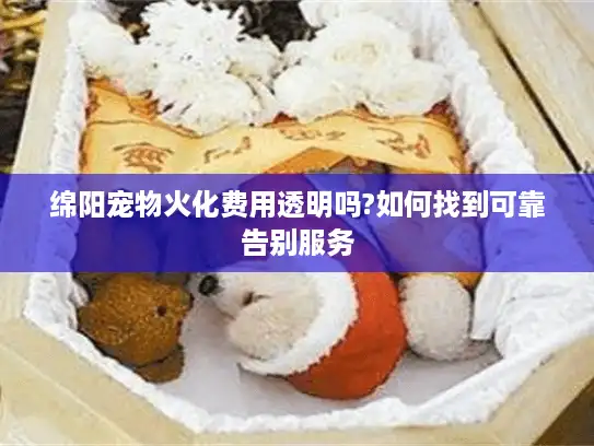 绵阳宠物火化费用透明吗?如何找到可靠告别服务