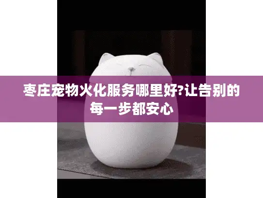 枣庄宠物火化服务哪里好?让告别的每一步都安心