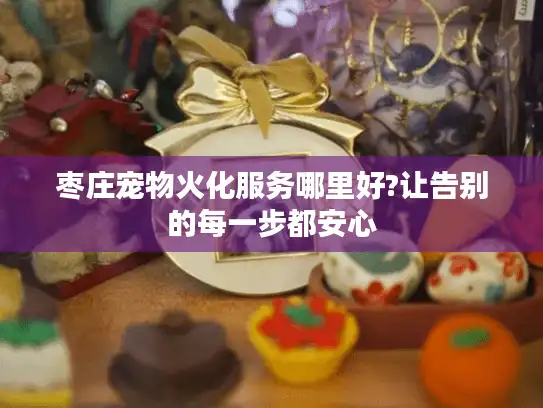 枣庄宠物火化服务哪里好?让告别的每一步都安心