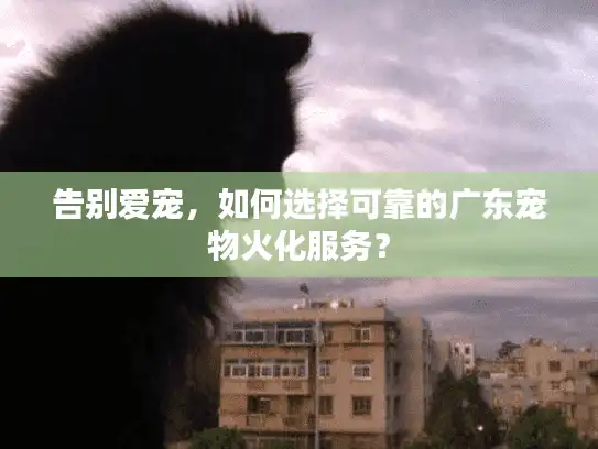 告别爱宠，如何选择可靠的广东宠物火化服务？
