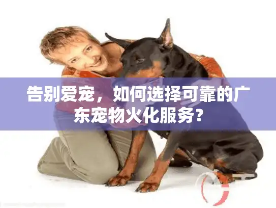 告别爱宠，如何选择可靠的广东宠物火化服务？