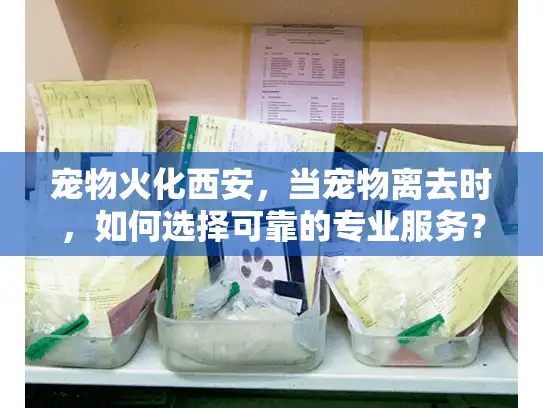 宠物火化西安，当宠物离去时，如何选择可靠的专业服务？