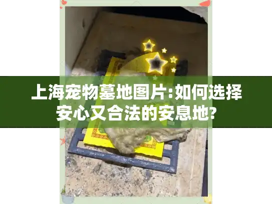 上海宠物墓地图片:如何选择安心又合法的安息地?