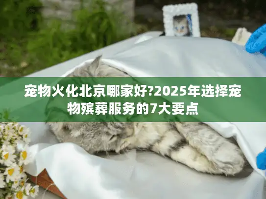 宠物火化北京哪家好?2025年选择宠物殡葬服务的7大要点