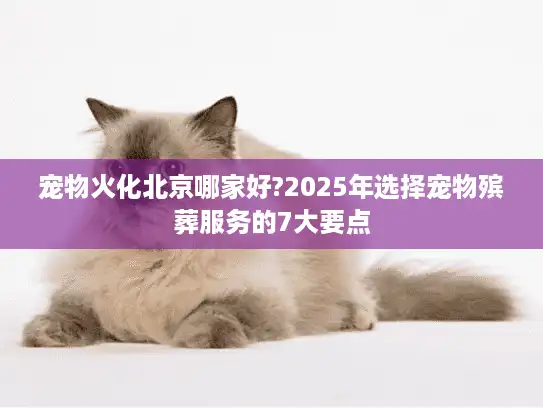 宠物火化北京哪家好?2025年选择宠物殡葬服务的7大要点