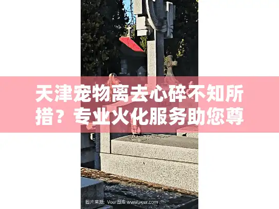 天津宠物离去心碎不知所措？专业火化服务助您尊严告别