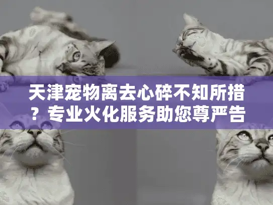 天津宠物离去心碎不知所措？专业火化服务助您尊严告别