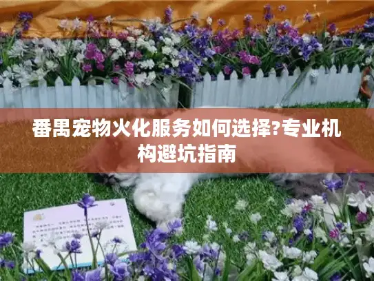 番禺宠物火化服务如何选择?专业机构避坑指南