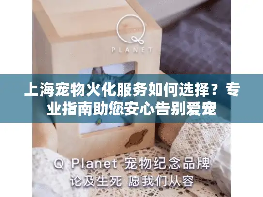 上海宠物火化服务如何选择？专业指南助您安心告别爱宠