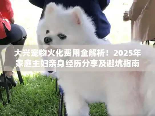 大兴宠物火化费用全解析！2025年家庭主妇亲身经历分享及避坑指南
