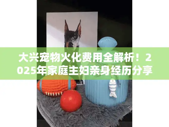 大兴宠物火化费用全解析！2025年家庭主妇亲身经历分享及避坑指南