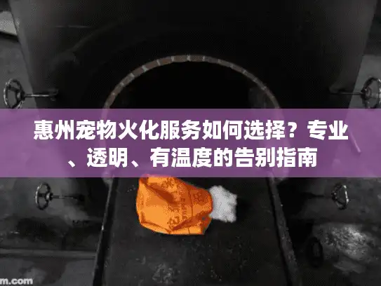 惠州宠物火化服务如何选择？专业、透明、有温度的告别指南