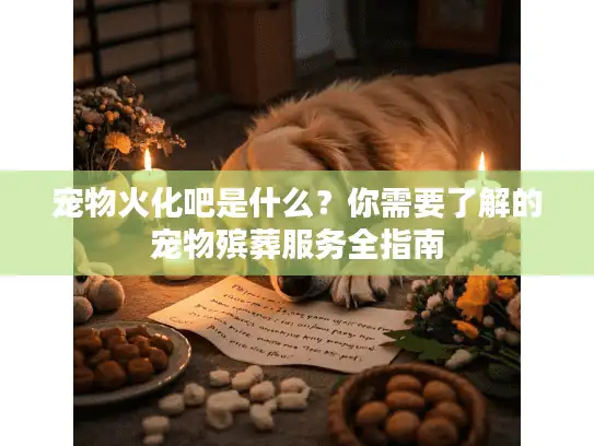 宠物火化吧是什么？你需要了解的宠物殡葬服务全指南