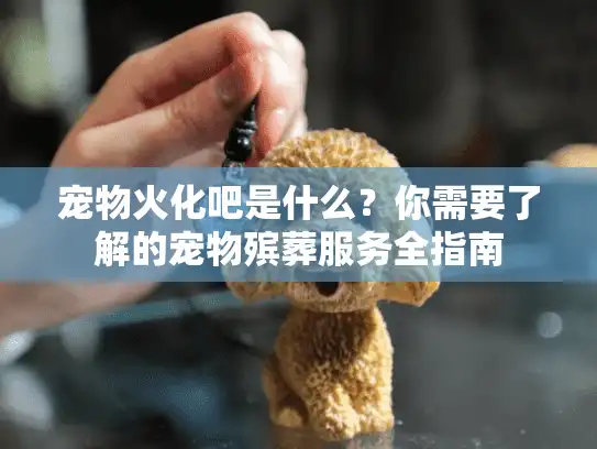 宠物火化吧是什么？你需要了解的宠物殡葬服务全指南