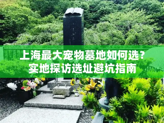 上海最大宠物墓地如何选？实地探访选址避坑指南