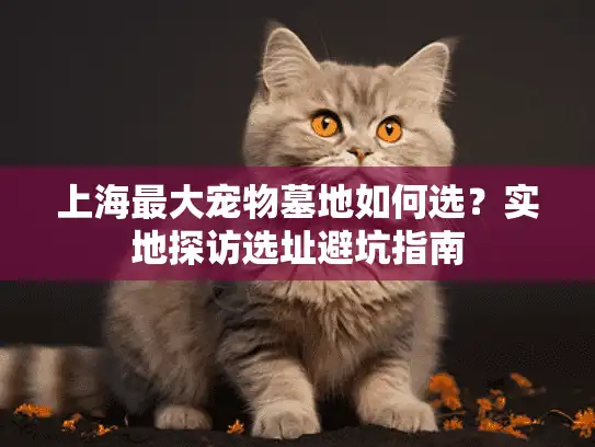 上海最大宠物墓地如何选？实地探访选址避坑指南