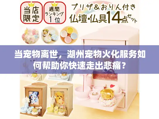 当宠物离世，湖州宠物火化服务如何帮助你快速走出悲痛？
