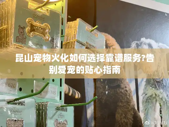 昆山宠物火化如何选择靠谱服务?告别爱宠的贴心指南