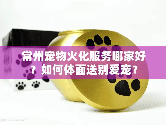 常州宠物火化服务哪家好？如何体面送别爱宠？