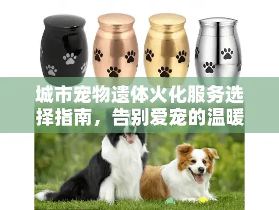城市宠物遗体火化服务选择指南，告别爱宠的温暖答案